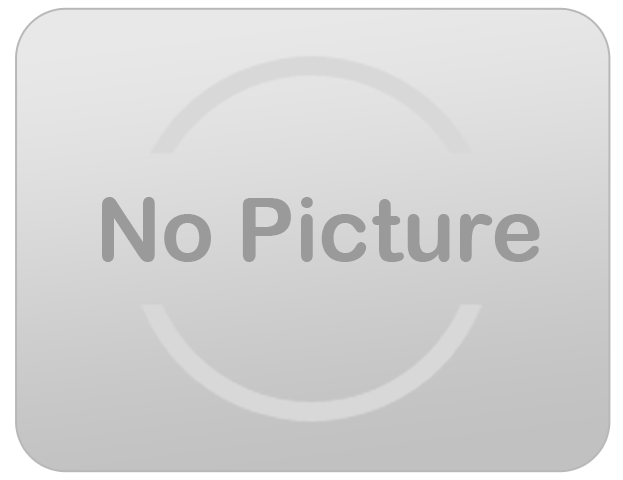 Gold Sequin Chair Cap(s)